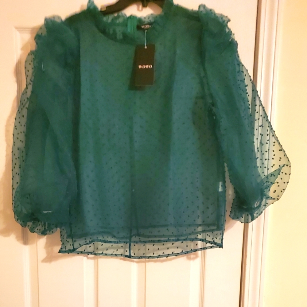 NWT Sheer  & Shirred Sleeves